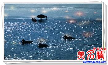 立春、二十四節(jié)氣的第一個 生肖屬相的起點(diǎn)