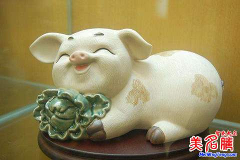 張姓男豬寶寶取名名字大全