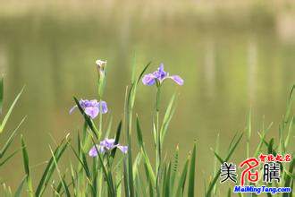 你見過哪些奇葩的WIFI名字？