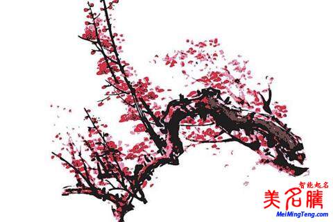 2018梅姓寶寶最詩意、最不凡的名字大全