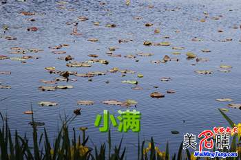 二十四節(jié)氣之小滿名字由來(lái)