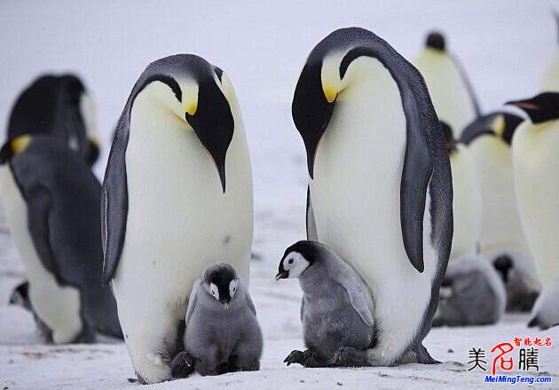 姓名測(cè)試打分案例分析(五)