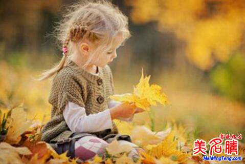 狗年支姓寶寶起名獨(dú)特又好聽