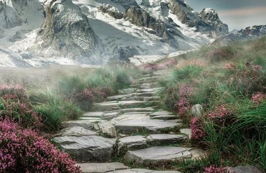 牛年男孩男寶寶草字頭(艸)的起名名字大全