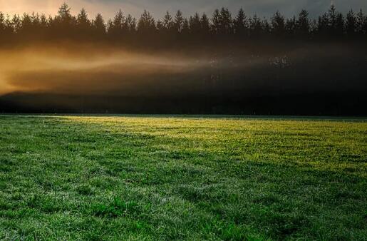 牛年寶寶草字頭的好聽(tīng)名字