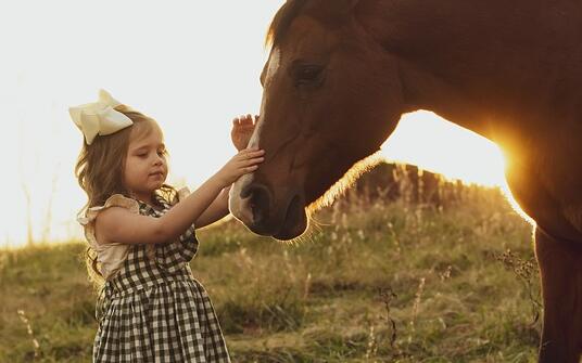 160個屬牛女寶寶名字大全