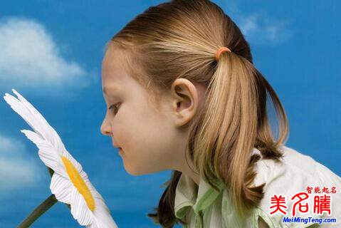 屬狗陳姓寶寶起名，女寶寶起名大全