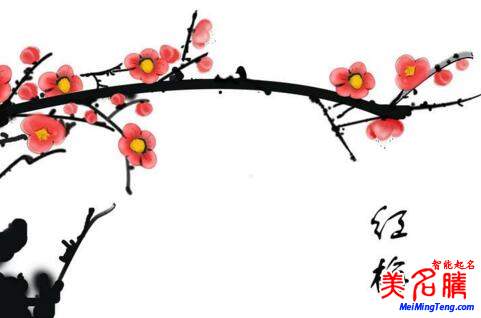 2018梅姓寶寶最詩意、最不凡的名字大全