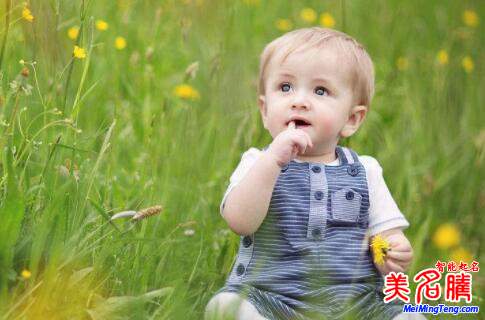 2019年豬年出生的寶寶運(yùn)勢(shì)和名字大全 帶解釋