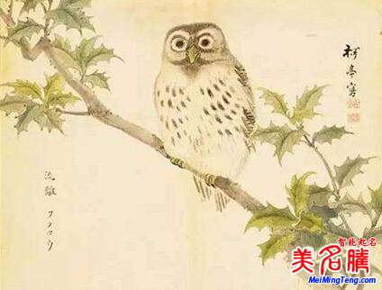 詩經女孩起名怎么起